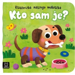 Kto sam je AKSJOMAT