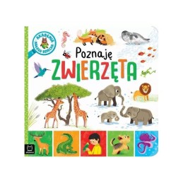 Poznaję zwierzęta akademia...
