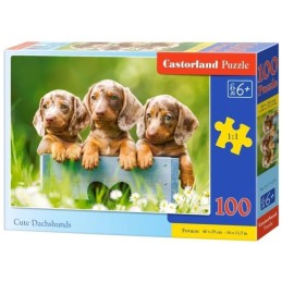 Puzzle 100 cute dachshunds...