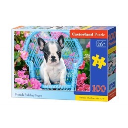 Puzzle 100 french bulldog...