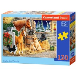 Puzzle 120el. gathering...