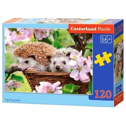 Puzzle 120el. springtime...