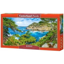 Puzzle californian coast...