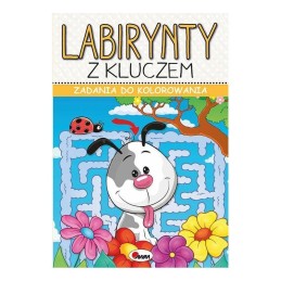 Zadania do kol. lab. z...