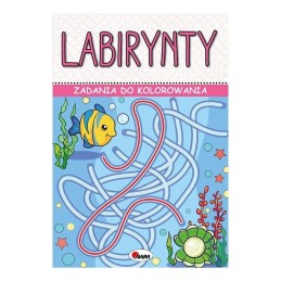 Zadania do kol. labirynty...