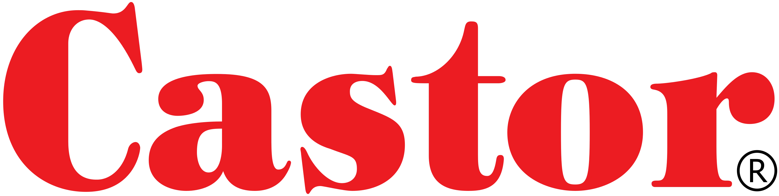 CASTOR